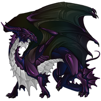 Unnamed dragon