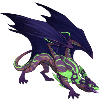 Unnamed dragon