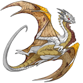 Unnamed dragon