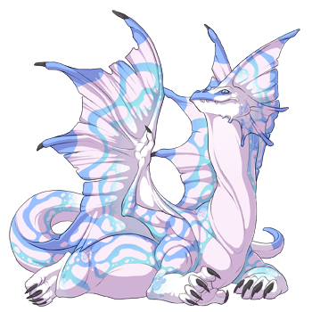 Unnamed dragon