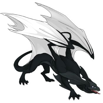 Unnamed dragon