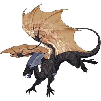 Unnamed dragon