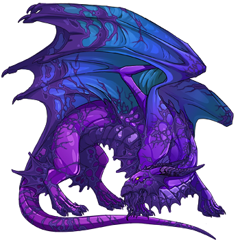 Unnamed dragon