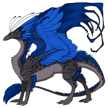 Unnamed dragon