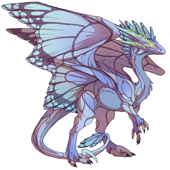 Unnamed dragon