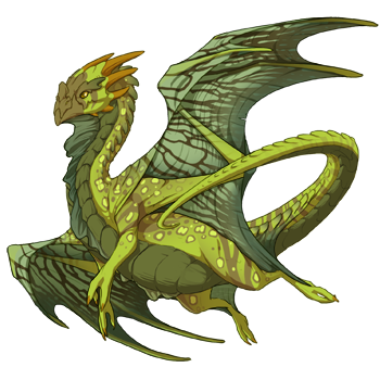 Unnamed dragon