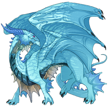 Unnamed dragon