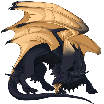 Unnamed dragon