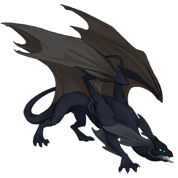 Unnamed dragon