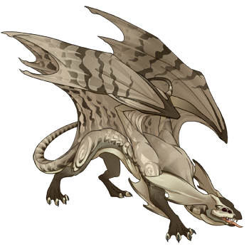 Unnamed dragon