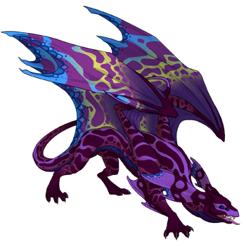 Unnamed dragon