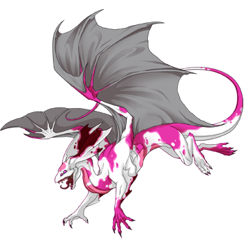 Unnamed dragon