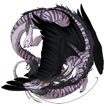 Unnamed dragon