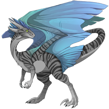 Unnamed dragon