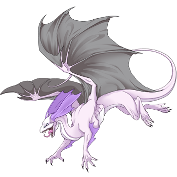 Unnamed dragon