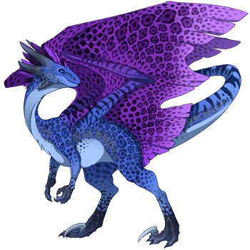 Unnamed dragon