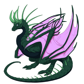 Unnamed dragon