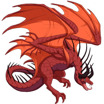 Unnamed dragon