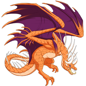 Unnamed dragon