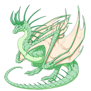 Unnamed dragon