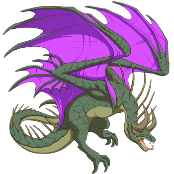 Unnamed dragon