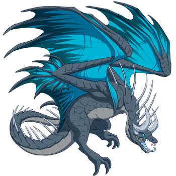 Unnamed dragon