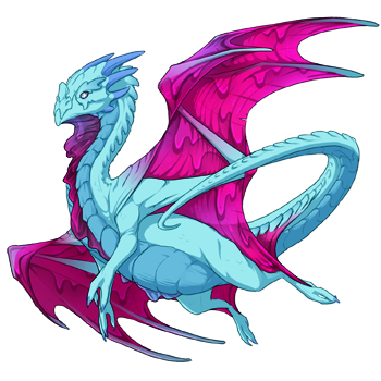 Unnamed dragon