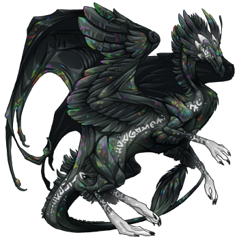 Unnamed dragon