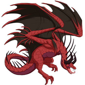 Unnamed dragon