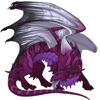 Unnamed dragon