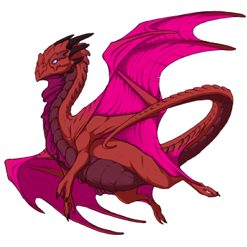 Unnamed dragon