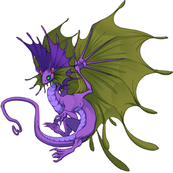 Unnamed dragon