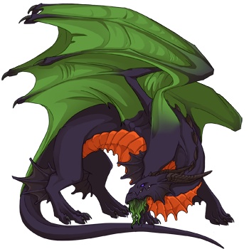 Unnamed dragon