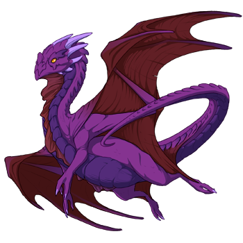 Unnamed dragon