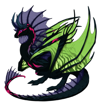 Unnamed dragon