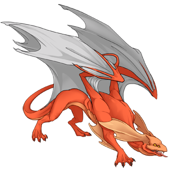 Unnamed dragon