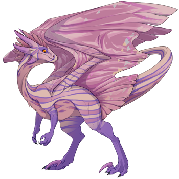 Unnamed dragon