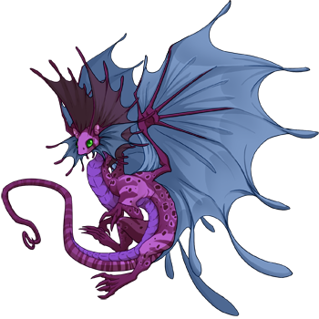 Unnamed dragon