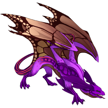 Unnamed dragon