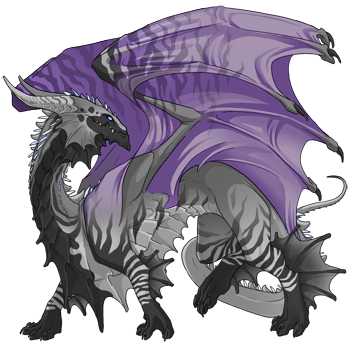 Unnamed dragon