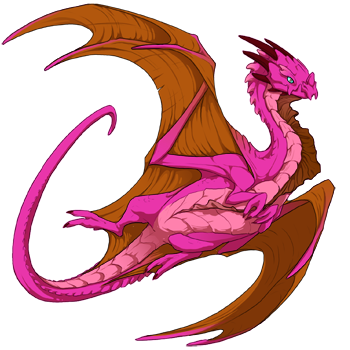 Unnamed dragon