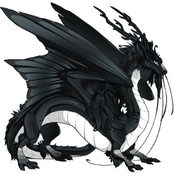 Unnamed dragon