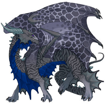 Unnamed dragon