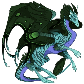 Unnamed dragon