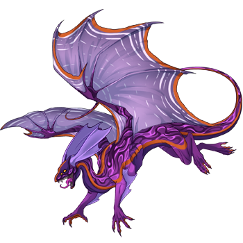 Unnamed dragon