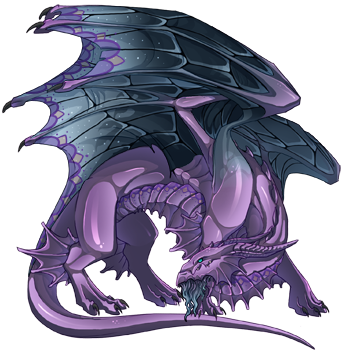 Unnamed dragon