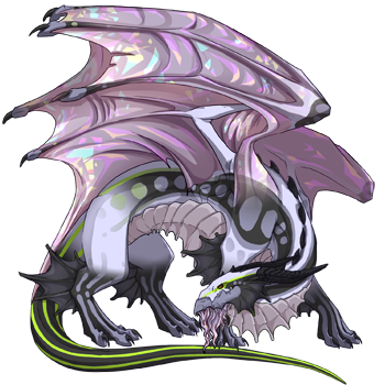 Unnamed dragon