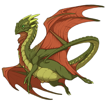 Unnamed dragon