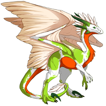 Unnamed dragon