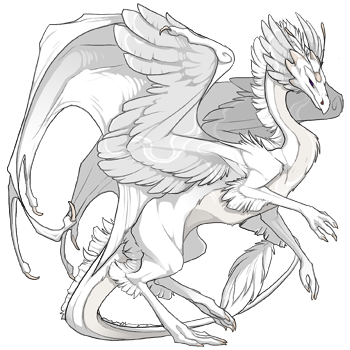 Unnamed dragon